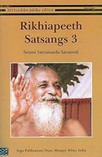 Rikhiapeth Satsangs vol 3 Paperback – 1 February 2014