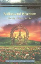 Sodium and Potassium (Satyam Tales) [Paperback] [Jan 01