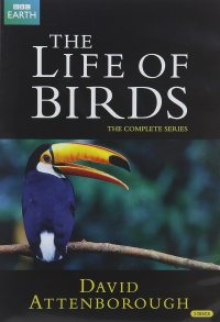 Life Birds